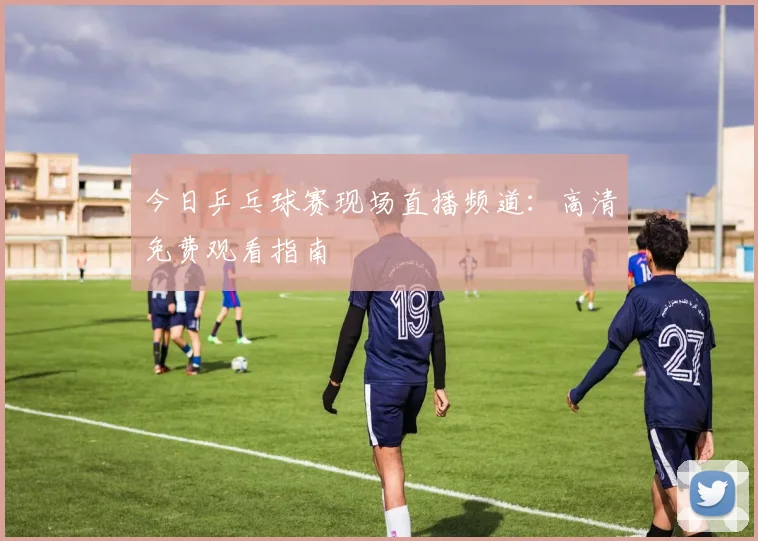 今日乒乓球赛现场直播频道：高清免费观看指南