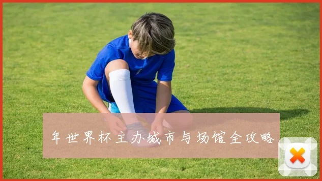 年世界杯主办城市与场馆全攻略